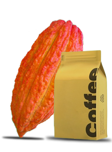 image_not_found