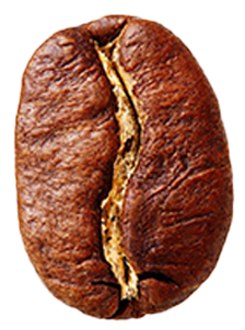 image_not_found