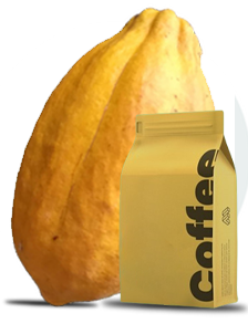 image_not_found