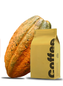 image_not_found